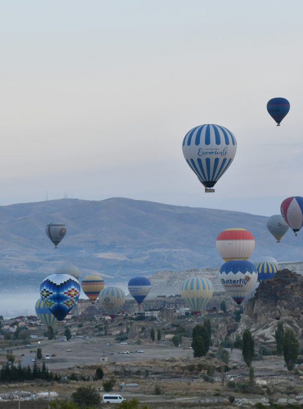 a group of hot air balloons in the sky